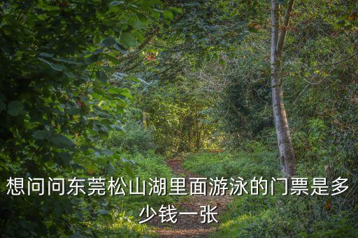 想問問東莞松山湖里面游泳的門票是多少錢一張