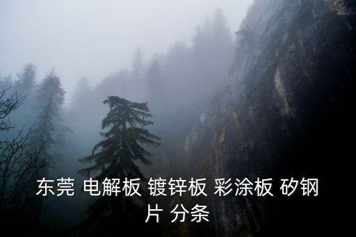 東莞興揚金屬導體公司，固定號碼076938854759是在東莞的什么公司