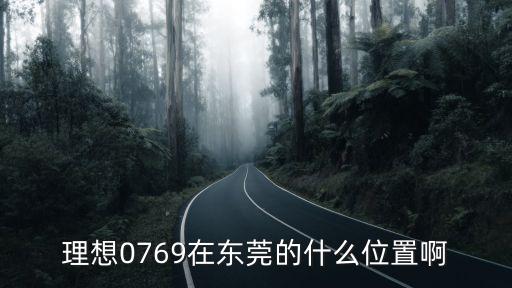 理想0769在東莞的什么位置啊