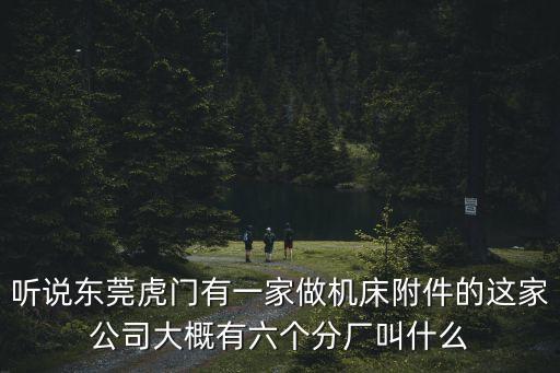 東莞欣毅金屬公司，聽說東莞虎門有一家做機床附件的這家公司大概有六個分廠叫什么