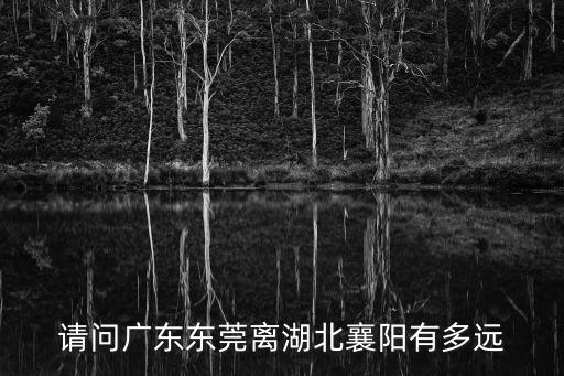 請問廣東東莞離湖北襄陽有多遠