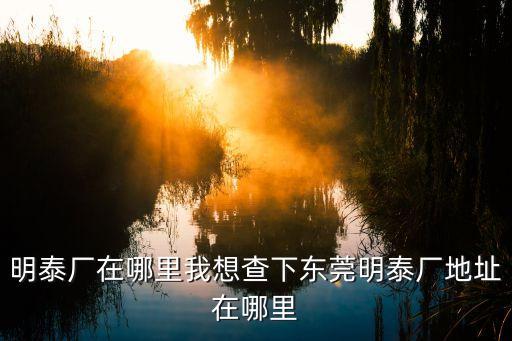 明泰廠在哪里我想查下東莞明泰廠地址在哪里