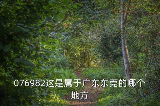 076982這是屬于廣東東莞的哪個地方