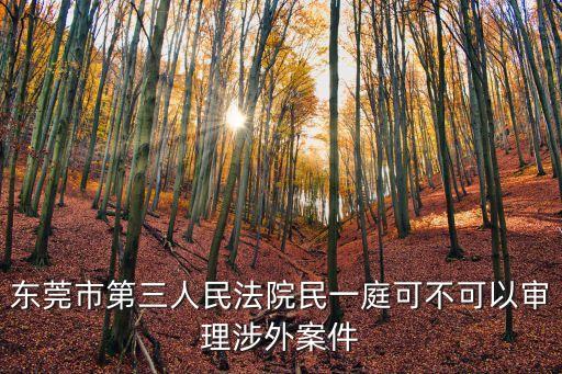 東莞市第三人民法院民一庭可不可以審理涉外案件