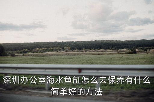 深圳辦公室海水魚缸怎么去保養有什么簡單好的方法