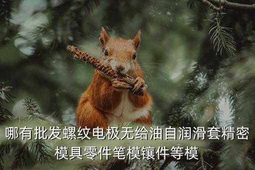 哪有批發(fā)螺紋電極無給油自潤滑套精密模具零件筆模鑲件等模