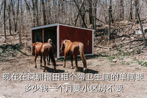 深圳衛(wèi)生間一套多少錢，現(xiàn)在在深圳福田租個(gè)帶衛(wèi)生間的單間要多少錢一個(gè)月要小區(qū)房不要