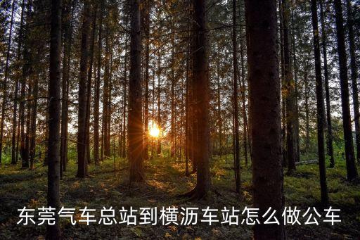 東莞氣車總站到橫瀝車站怎么做公車