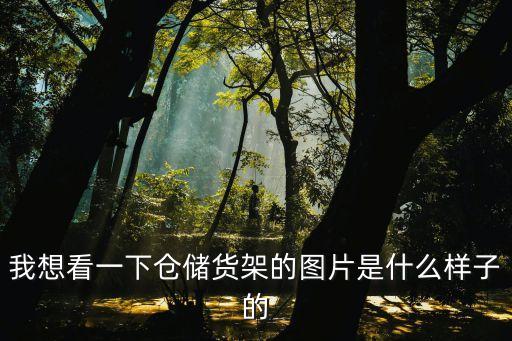 石碣東莞倉儲貨架圖片，我想看一下倉儲貨架的圖片是什么樣子的