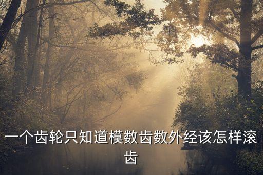 一個齒輪只知道模數齒數外經該怎樣滾齒