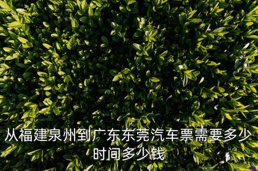 從福建泉州到廣東東莞汽車票需要多少時間多少錢