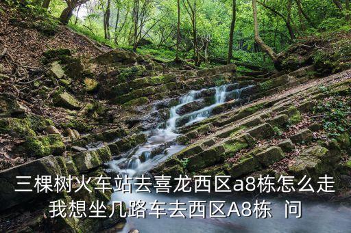 三棵樹火車站去喜龍西區a8棟怎么走我想坐幾路車去西區A8棟  問