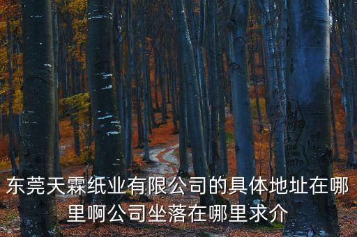 東莞天霖紙業(yè)有限公司的具體地址在哪里啊公司坐落在哪里求介