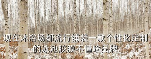 東莞品牌泳池膜，城市運動會泳池膠膜是什么品牌