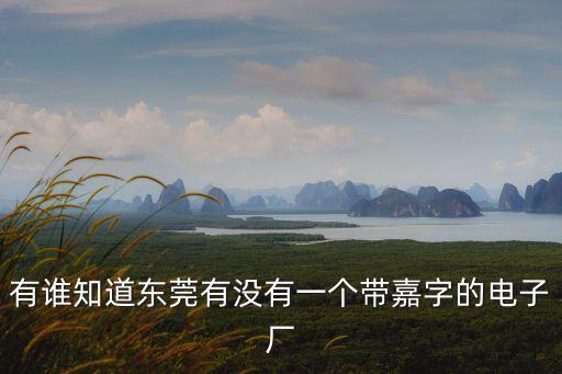 東莞嘉寶電子廠，羅定嘉寶電子廠現(xiàn)在招人嗎