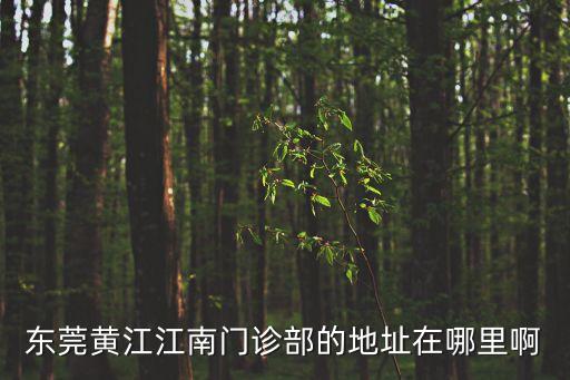 東莞市黃江鎮(zhèn)華為平板電腦維修點(diǎn)，東莞那里有修華為平板電腦的