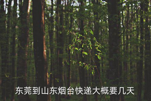 東莞到煙臺順豐大概幾天，順豐快遞從東莞到煙臺發的手機到深圳后幾天到煙臺