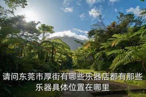 請問東莞市厚街有哪些樂器店都有那些樂器具體位置在哪里