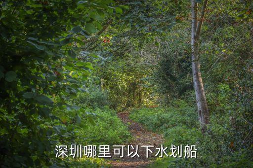 深圳羅湖區哪個公園可以劃船，深圳哪里可以自已劃船玩的地方想去玩玩