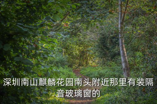 2020深圳南山南頭噪音，深圳南山麒麟花園南頭附近那里有裝隔音玻璃窗的