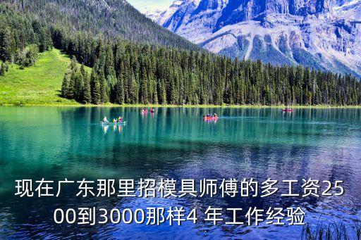 現在廣東那里招模具師傅的多工資2500到3000那樣4 年工作經驗