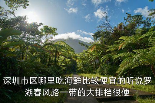 深圳市區哪里吃海鮮比較便宜的聽說羅湖春風路一帶的大排檔很便