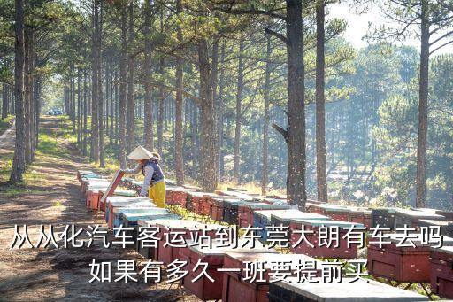 從從化汽車客運站到東莞大朗有車去嗎 如果有多久一班要提前買