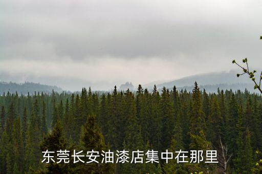 東莞長安油漆店集中在那里