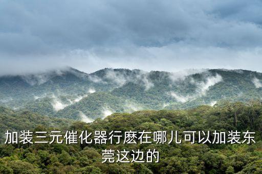 加裝三元催化器行麼在哪兒可以加裝東莞這邊的