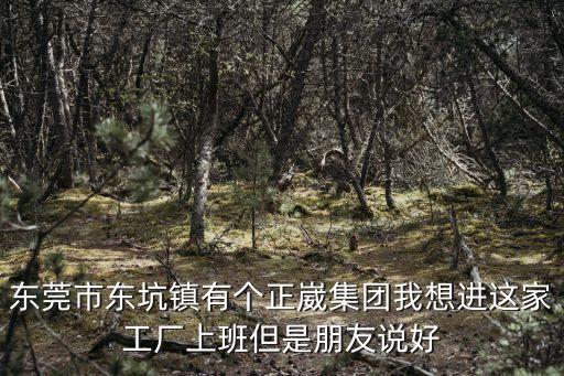 東莞市東坑鎮(zhèn)有個(gè)正崴集團(tuán)我想進(jìn)這家工廠上班但是朋友說好