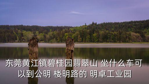 東莞碧桂園科技產(chǎn)業(yè)園，碧桂園集團(tuán)是否有東莞分公司是否在招人