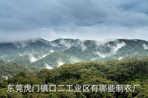東莞虎門(mén)鎮(zhèn)口二工業(yè)區(qū)有哪些制衣廠