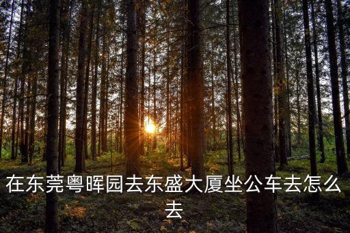 在東莞粵暉園去東盛大廈坐公車去怎么去