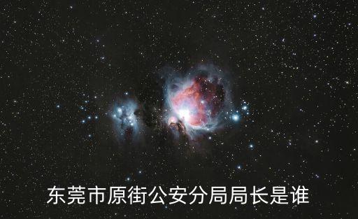 東莞市原街公安分局局長是誰
