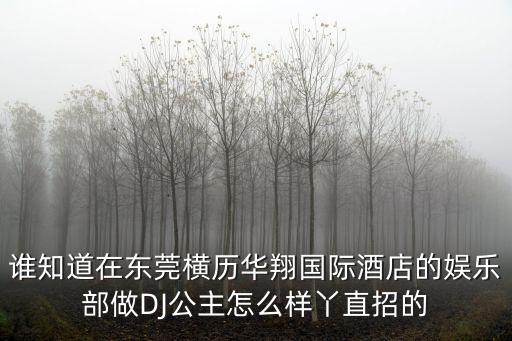 東莞橫瀝鎮華翔國際，誰知道在東莞橫歷華翔國際酒店的娛樂部做DJ公主怎么樣丫直招的