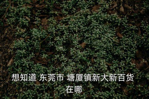 廣東東莞塘廈鎮(zhèn)大新，東莞塘廈新大新在哪里