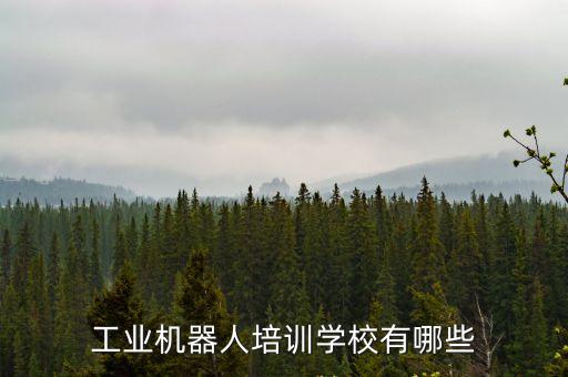 東莞松山湖有培訓工業機器人嗎，工業機器人培訓學校有哪些