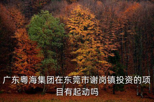 東莞謝崗粵海產業園土建中標單位，廣東粵海集團在東莞市謝崗鎮投資的項目有起動嗎