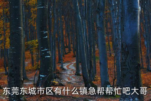 東莞東正上嶺是在東城區嗎，廣東的 東城 具體位置 在那里