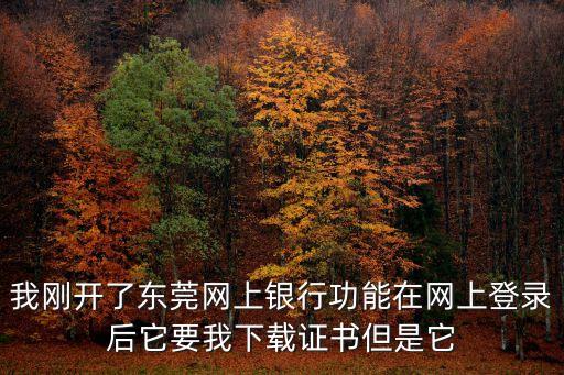我剛開了東莞網上銀行功能在網上登錄后它要我下載證書但是它