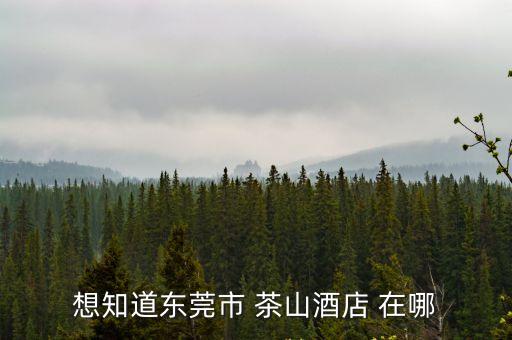 想知道東莞市 茶山酒店 在哪
