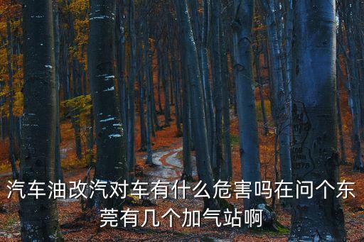 汽車油改汽對(duì)車有什么危害嗎在問個(gè)東莞有幾個(gè)加氣站啊