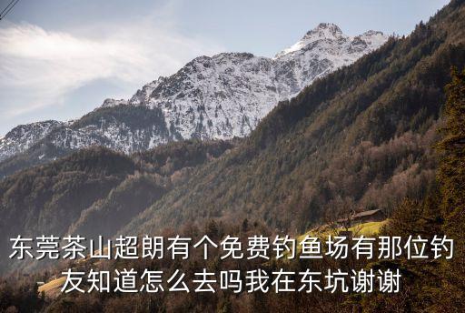 東莞茶山超朗有個免費釣魚場有那位釣友知道怎么去嗎我在東坑謝謝