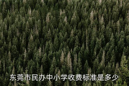 東莞民辦小學一學期要多少錢，東莞市民辦中小學收費標準是多少