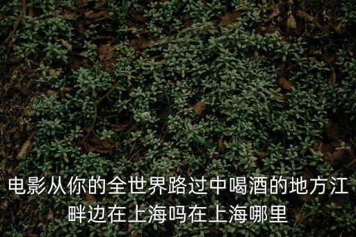電影從你的全世界路過(guò)中喝酒的地方江畔邊在上海嗎在上海哪里