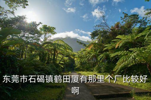 東莞市石碣鎮(zhèn)鶴田廈有那里個廠比較好啊