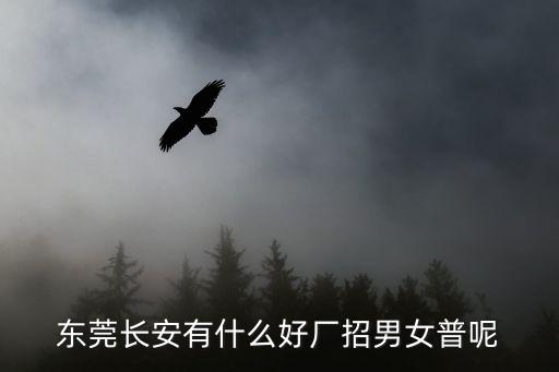 東莞長安有什么好廠招男女普呢