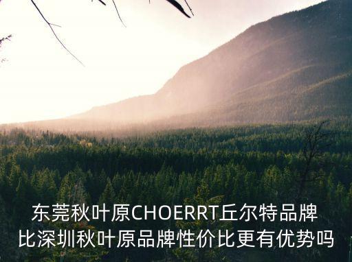 東莞秋葉原正品，東莞秋葉原CHOERRT丘爾特品牌和綠聯的品牌哪個好