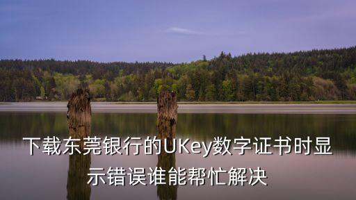 東莞銀行uk是什么，下載東莞銀行的UKey數字證書時顯示錯誤誰能幫忙解決