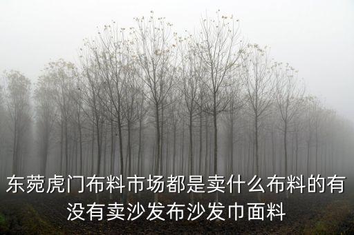 東菀虎門布料市場都是賣什么布料的有沒有賣沙發布沙發巾面料